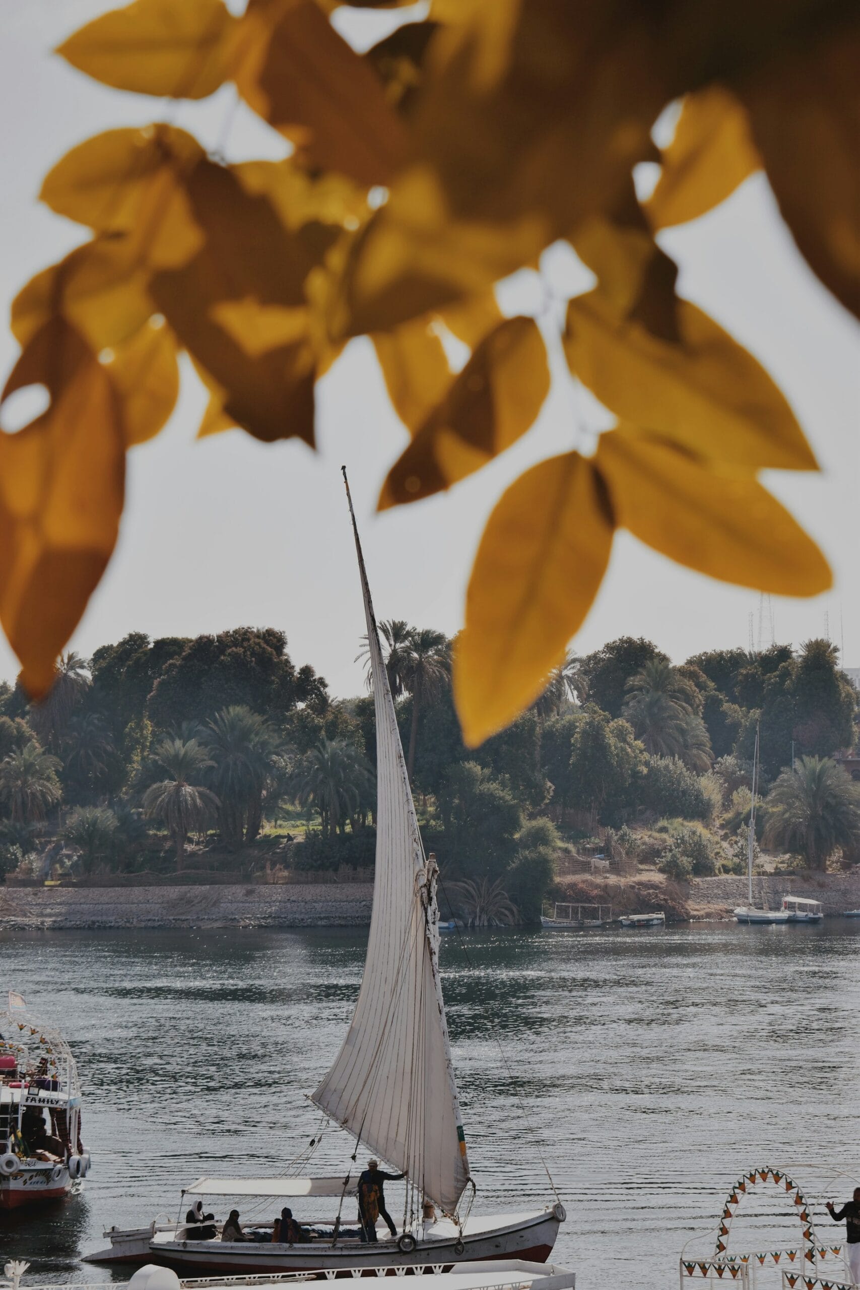 View of the Nile River with tree leaves in the foreground.